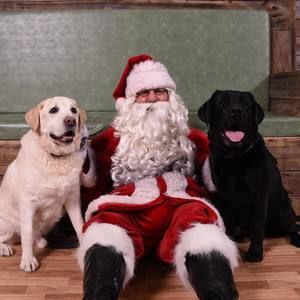 Meet your Posher, Tracey